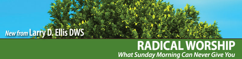 Radical Worship title